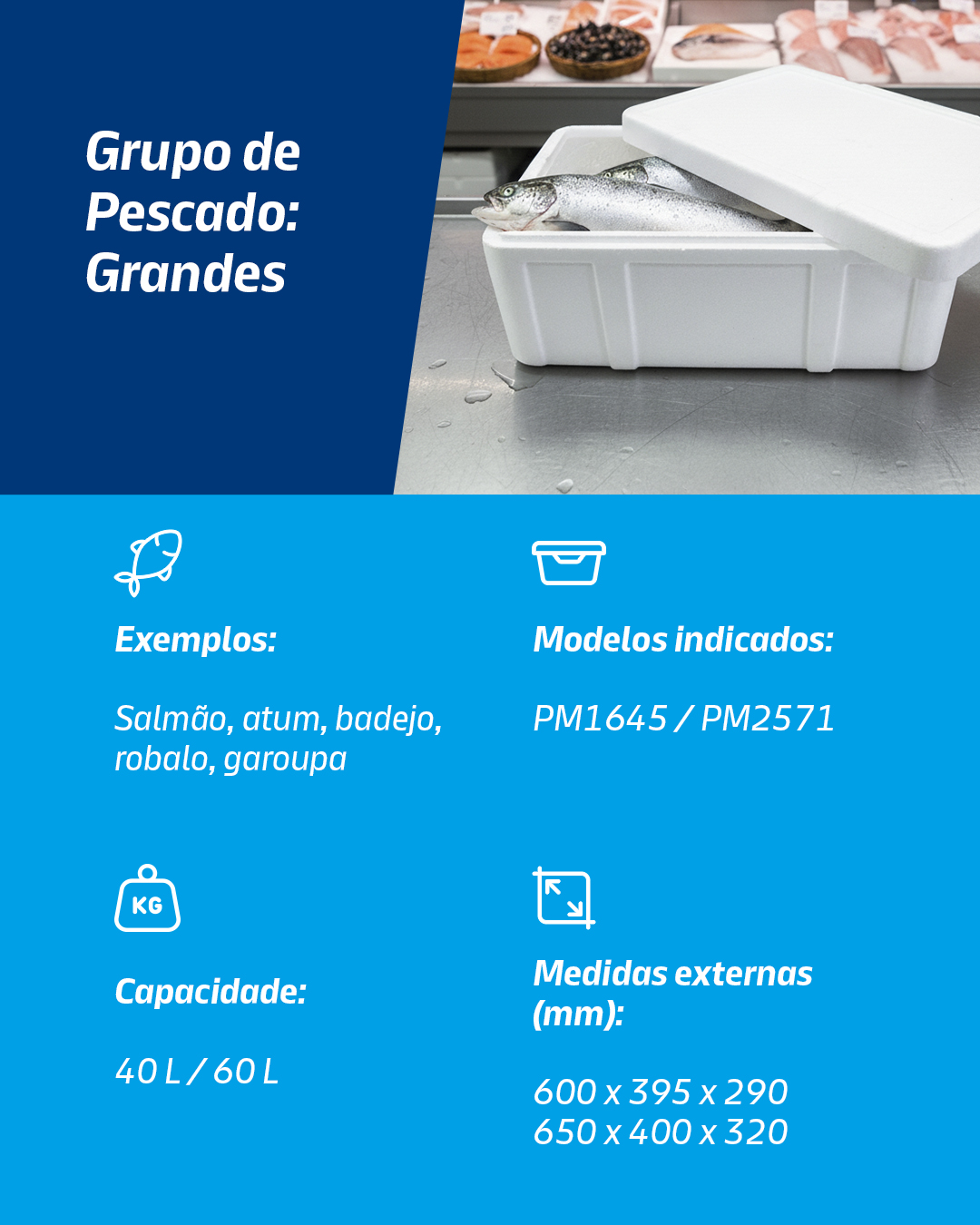 tabela de caixas de eps isopor para pescados grandes
