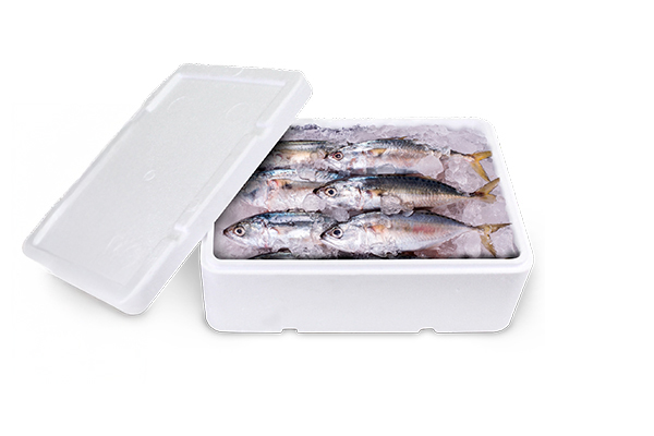O que significa Isopor (1) caixa para pescado